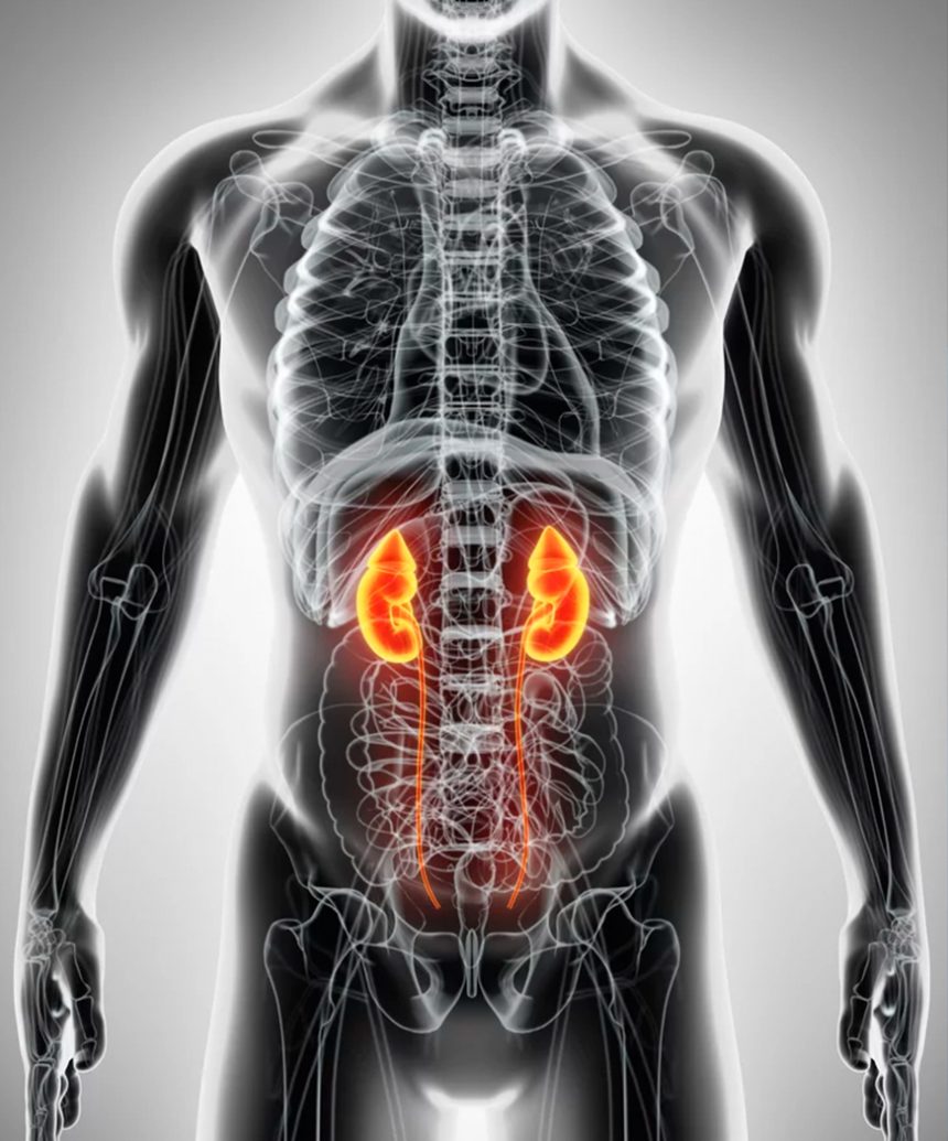 Ophthalmology concept. Male patient under eye vision examination in eyesight ophthalmological correction clinic